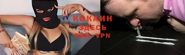 ПСИЛОЦИБИНОВЫЕ ГРИБЫ Абаза