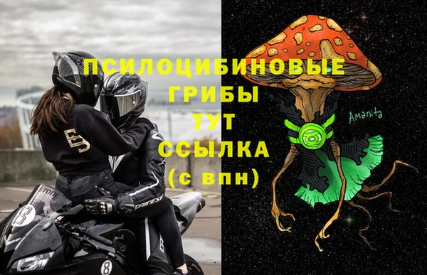 ешки Алзамай