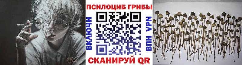 площадка Telegram  Ясный  Псилоцибиновые грибы Psilocybe 